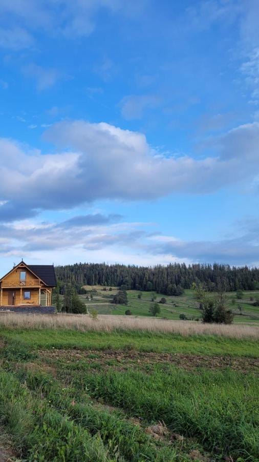 Hamajdowka Villa Zubrzyca Gorna Exterior photo